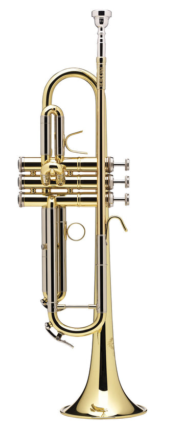 Prodige B Lackiert (Umgekehrtes Mundrohr) - BS210LR-1-0