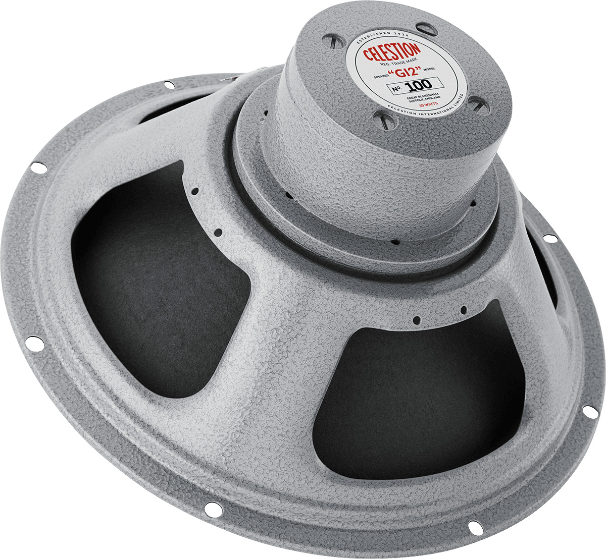 G12 100 8 Ohms