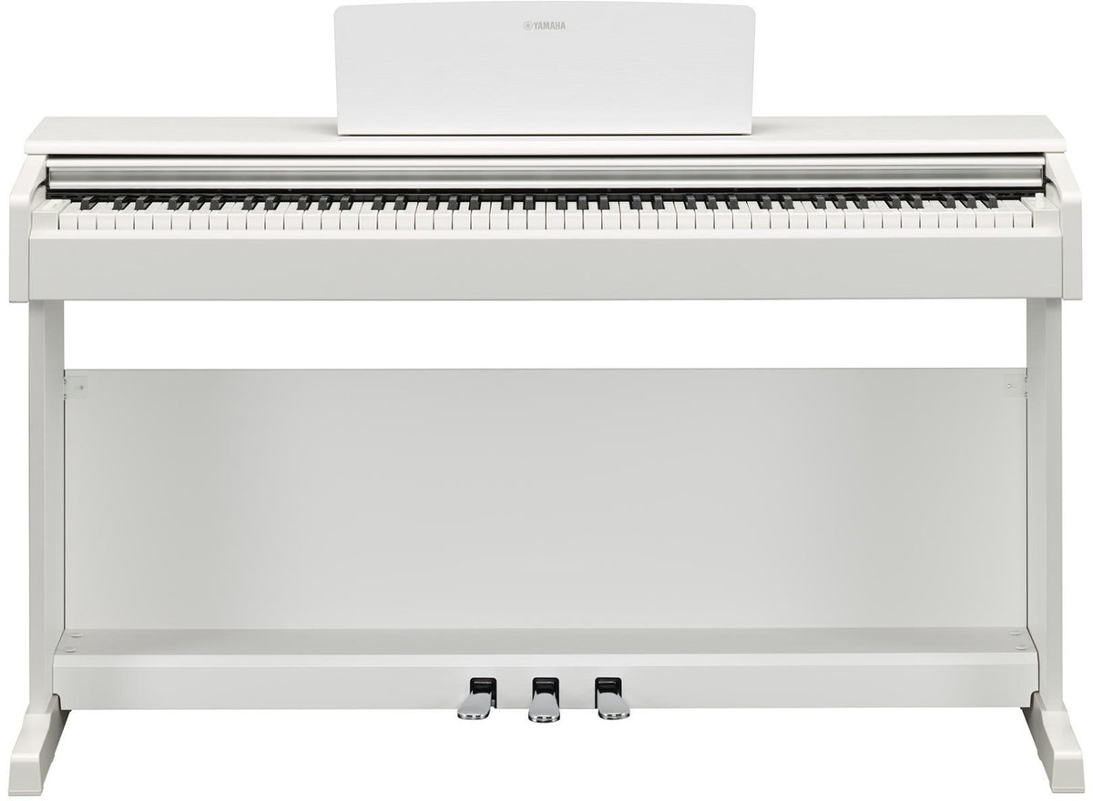 Arius YDP-105 Weiß