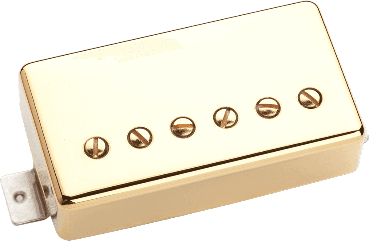 High Voltage Steg Gold