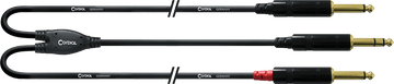 Audiokabel Stereo-Klinke - 2 lange Mono-Klinken 3 M