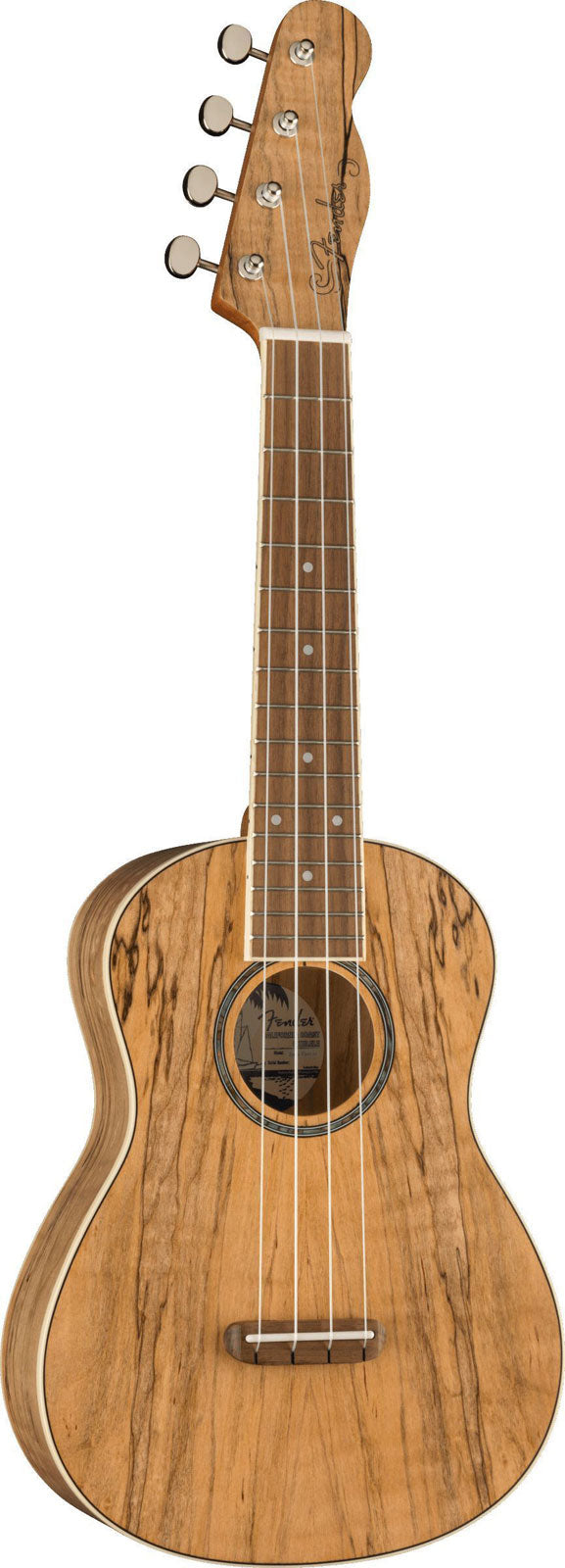 Zuma Uke Exotic Concert Wn Spalted Maple