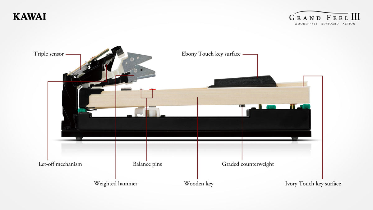 CA701 Glänzendes Schwarz