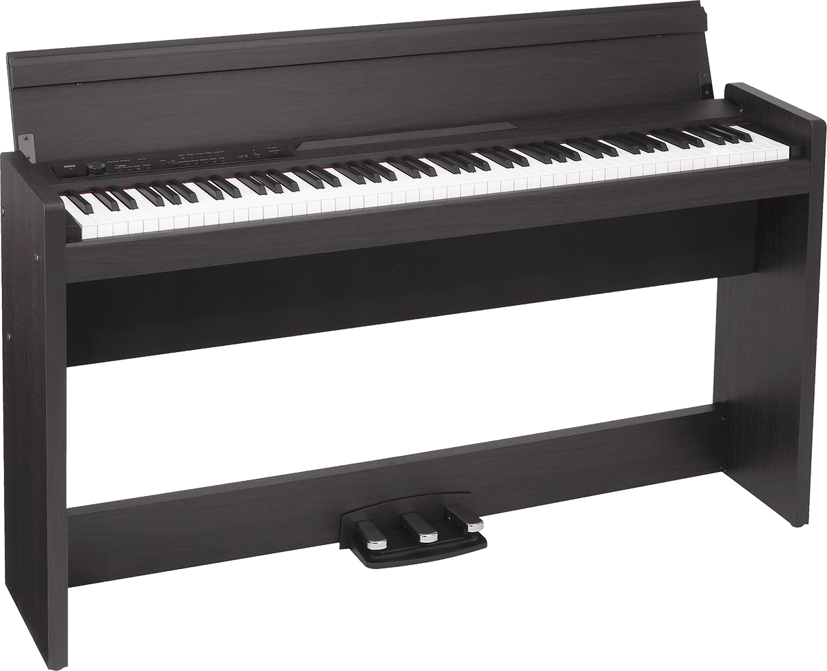 LP-380U Palisander