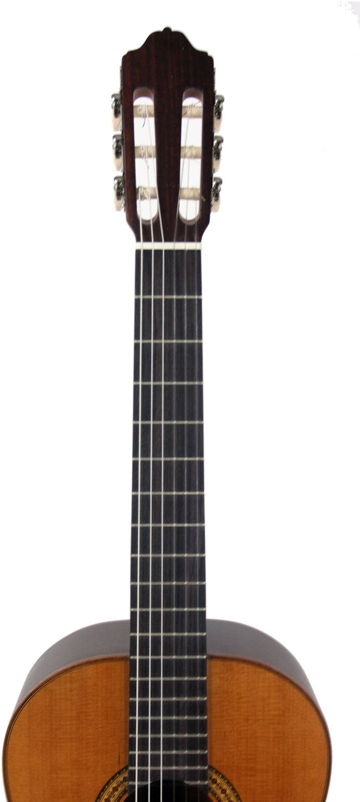 Mod.3 Glänzende Zederndecke