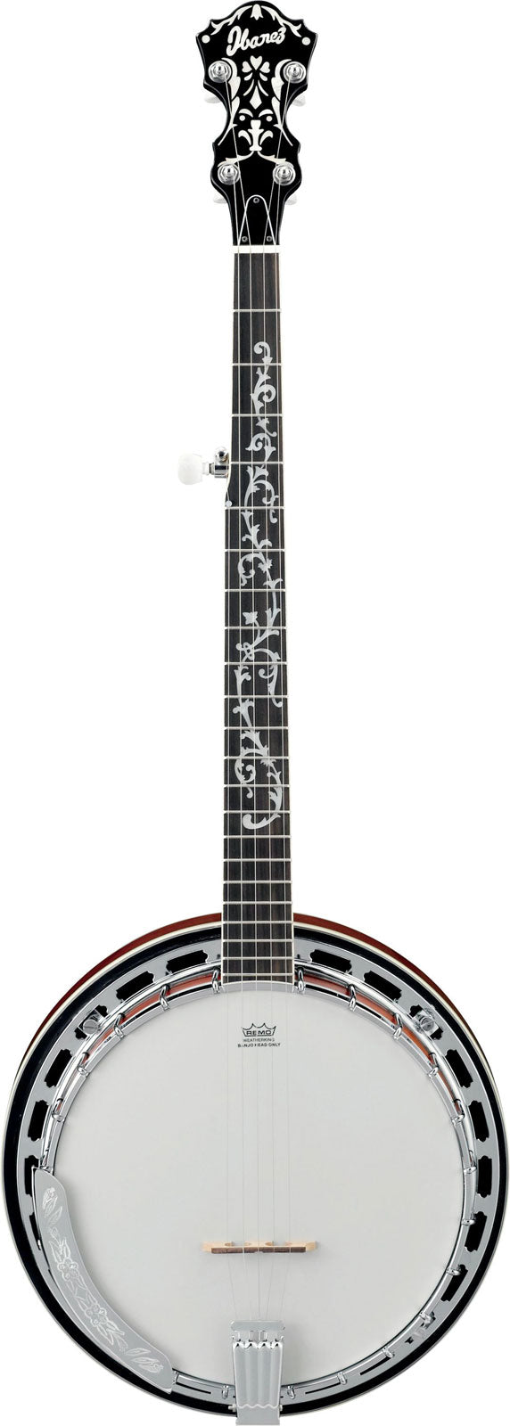 Ibanez Traditionelle Instrumente