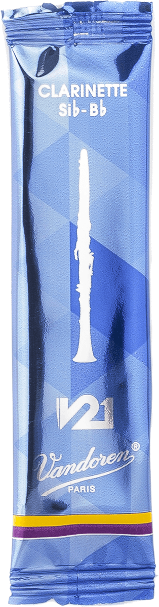 V21 3