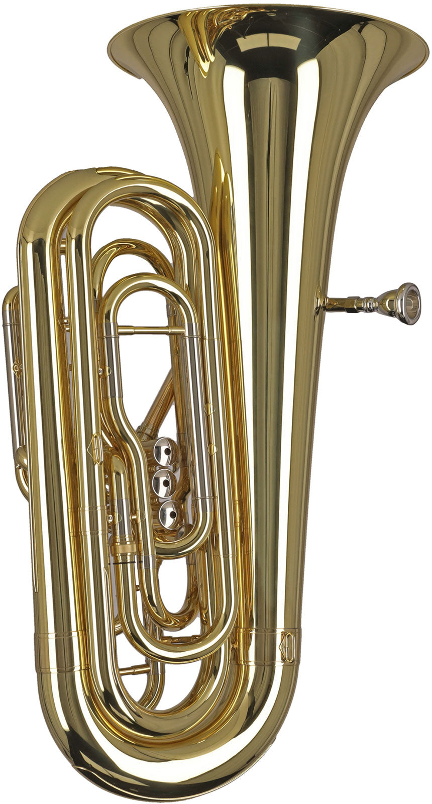 Ambition BB501C Contrebasse Ut Verni
