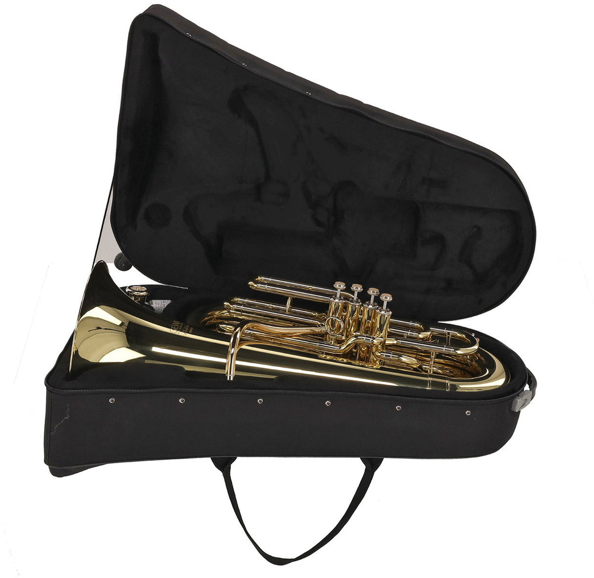 Ambition BB501C Contrebasse Ut Verni