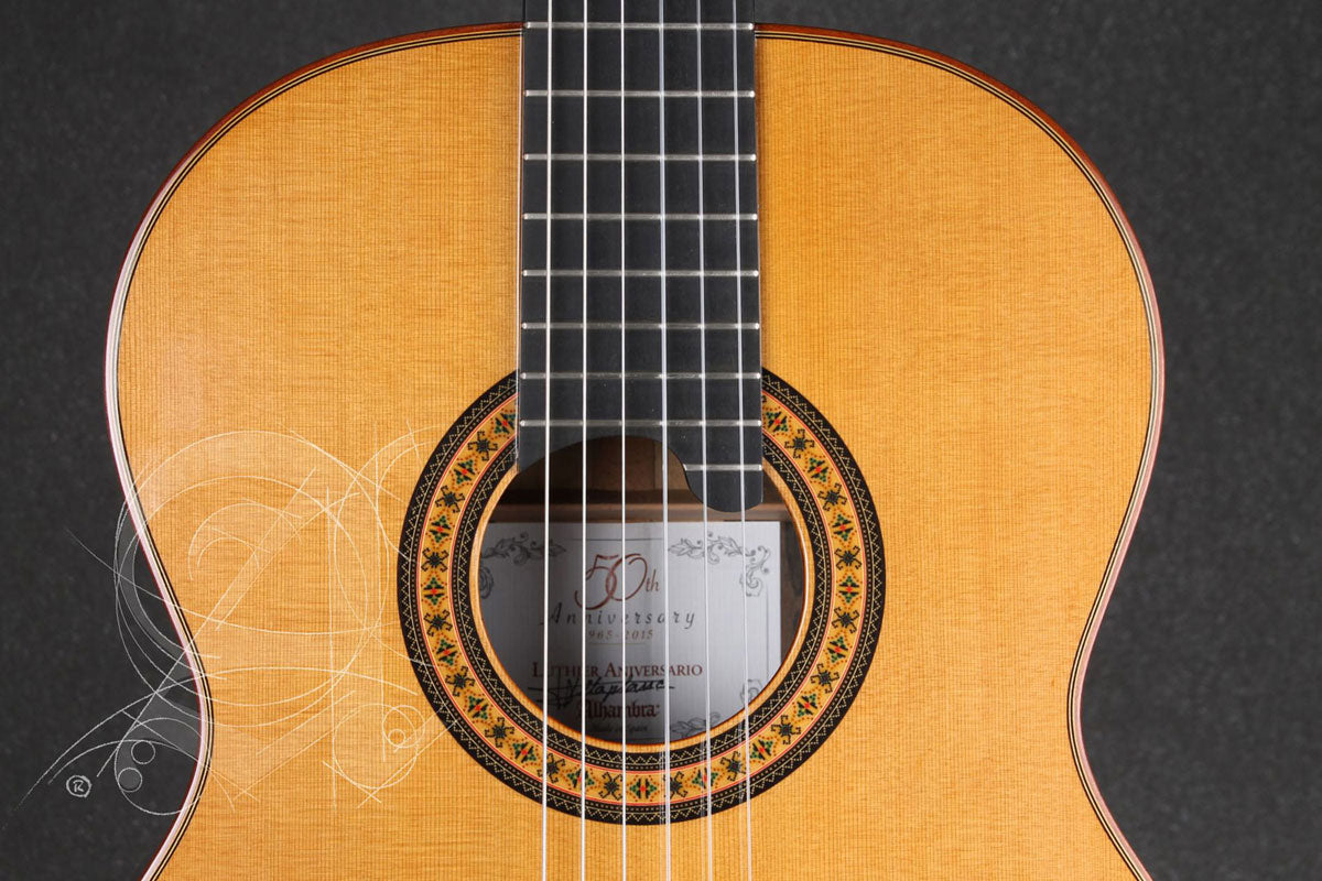 Professional Luthier Aniversario + 9650 Bam Iconic Case