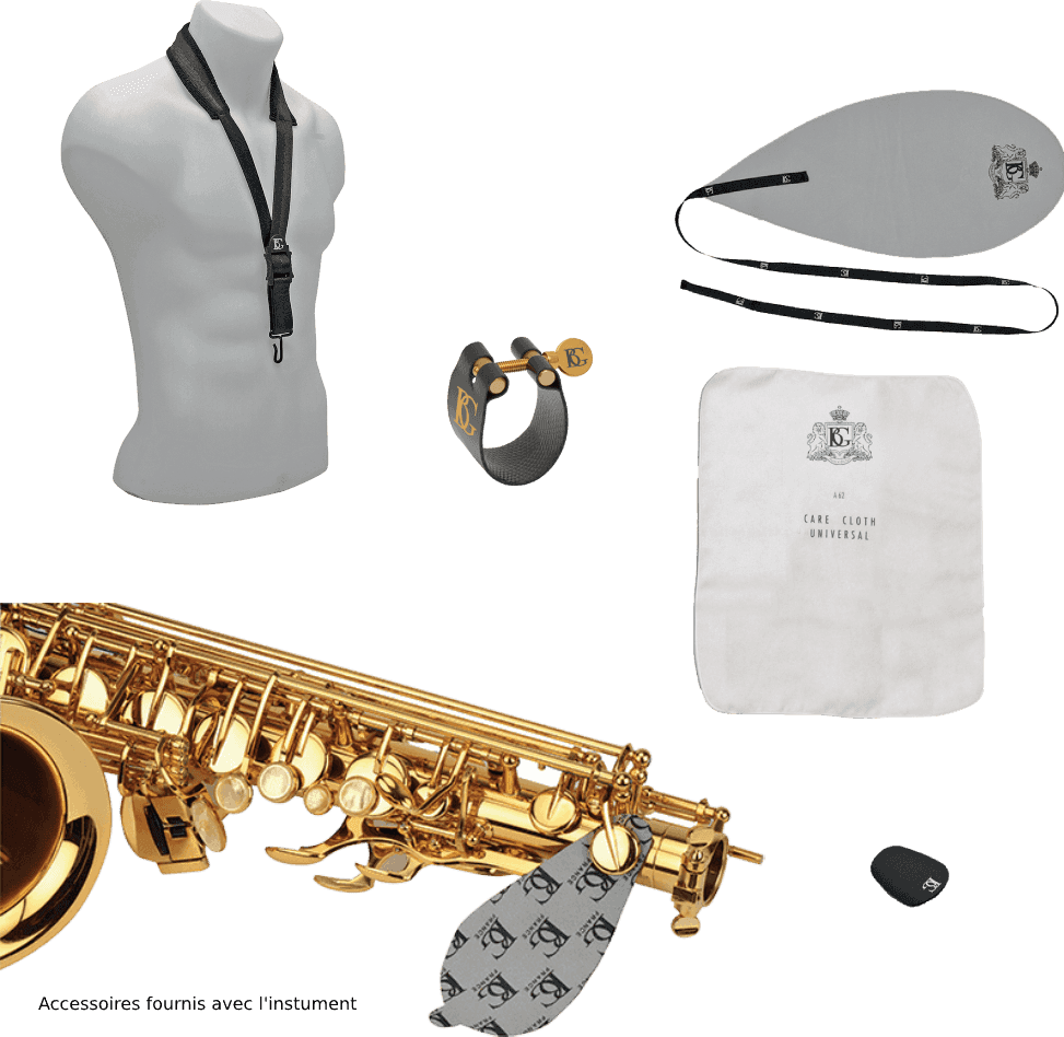 SC620 - Gebogenes Sopransaxophon Serie "nation"