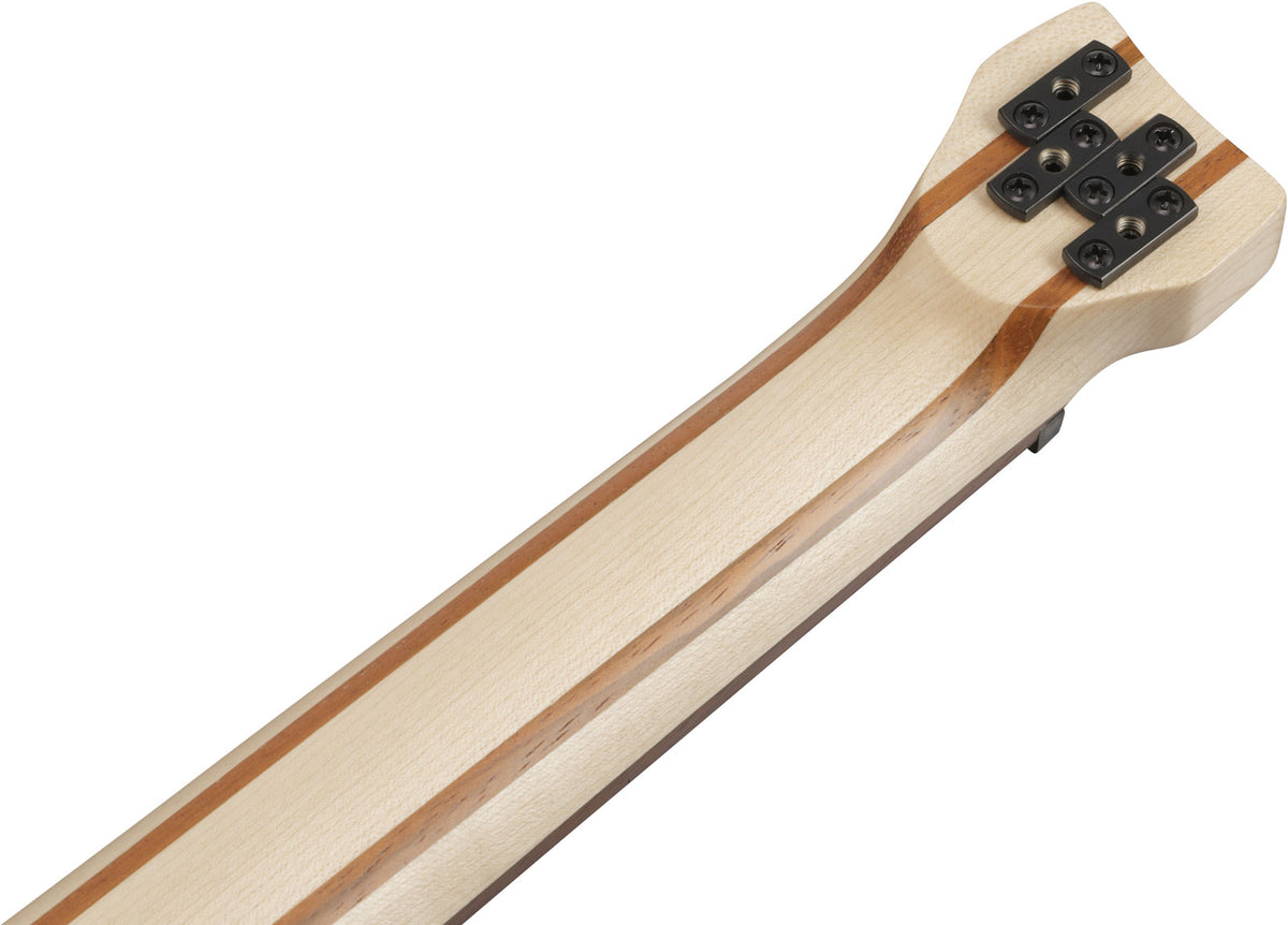 EHB6L Bass Workshop LTD Edition Linkshänder Walnuss Matt