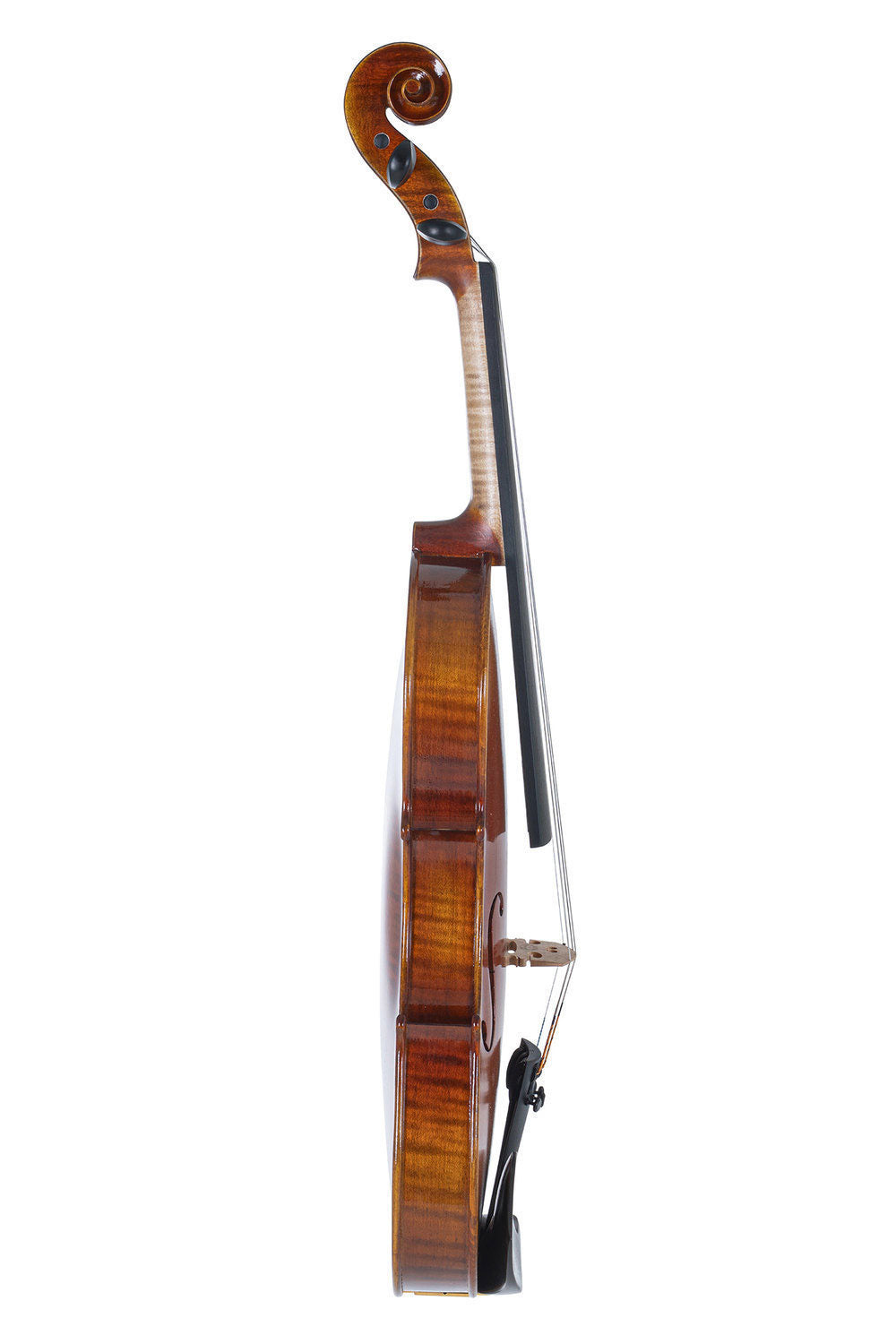 4/4 VIOLIN PREPARED FOR PLAYING PROFILED CASE MASSARANDUBA BOW LARSEN IL CANNONE STRINGS