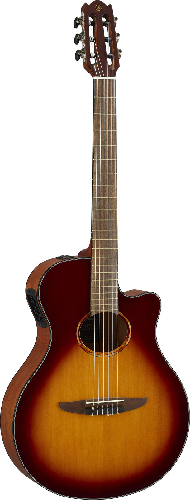 Ntx1 Braun Sunburst