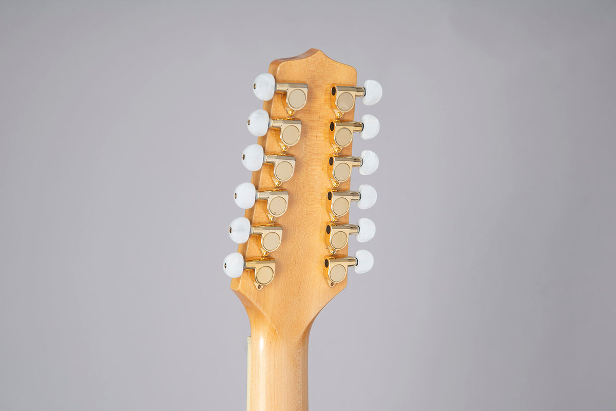 GD74CE-12 Dreadnought Saiten Natur