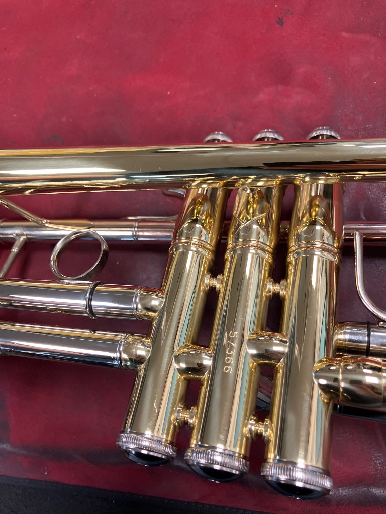 TP500 - BB VARNISH - B Stock