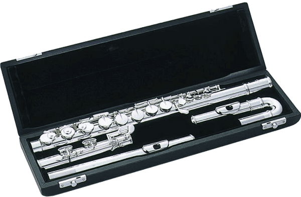 TFCAU ETUI - ALTO FLUTE + 2 TETES