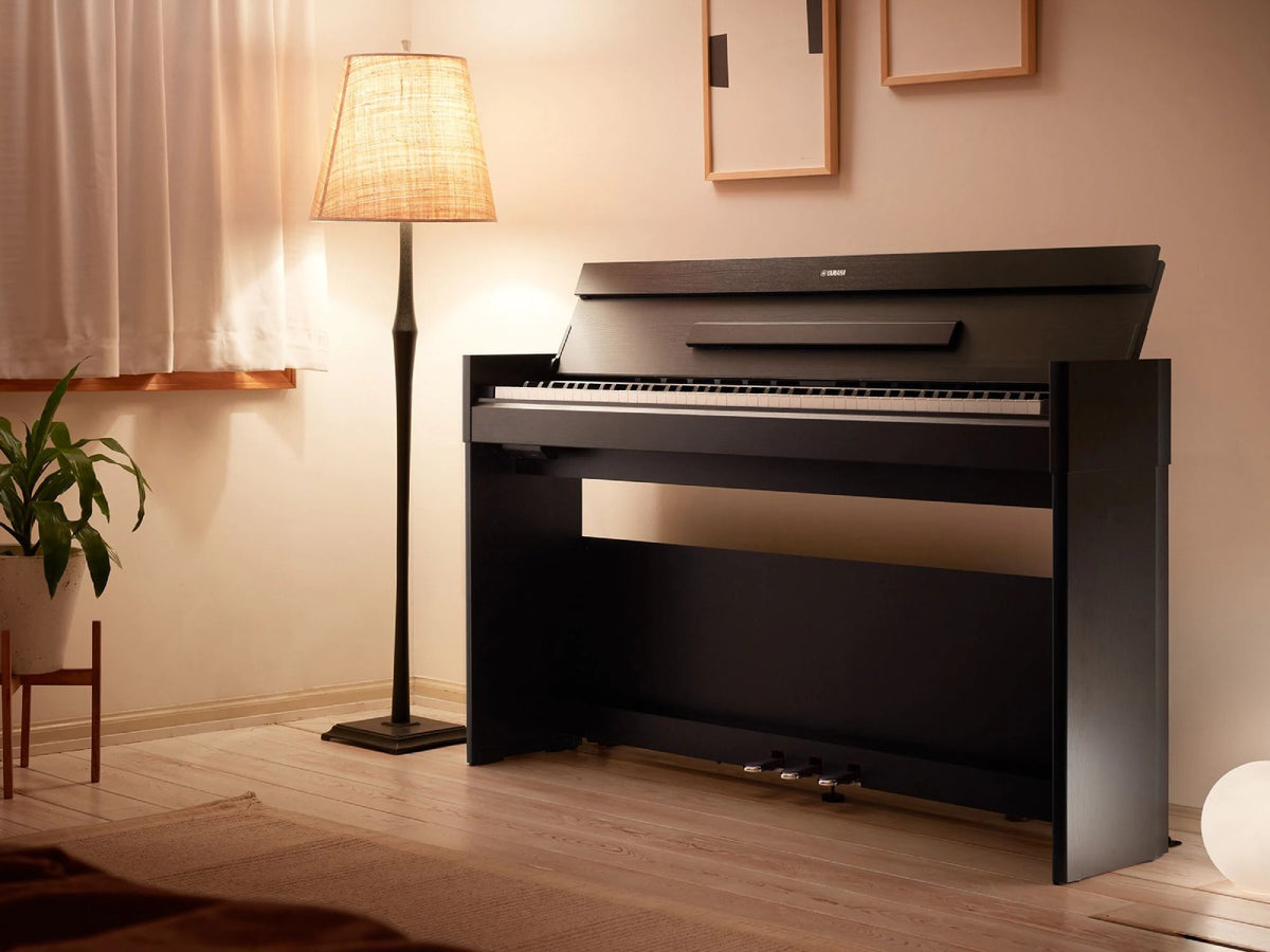 Arius YDP-S55 Schwarz