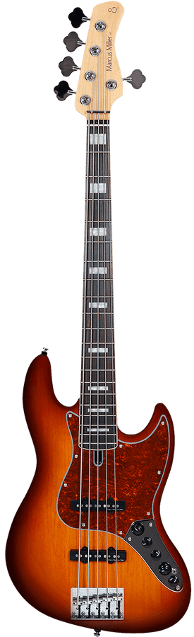 V7 Alder-5 Ts En