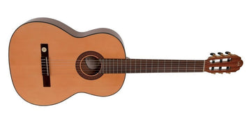 Klassikgitarre Pro Arte Gc 210 A 4/4 Größe