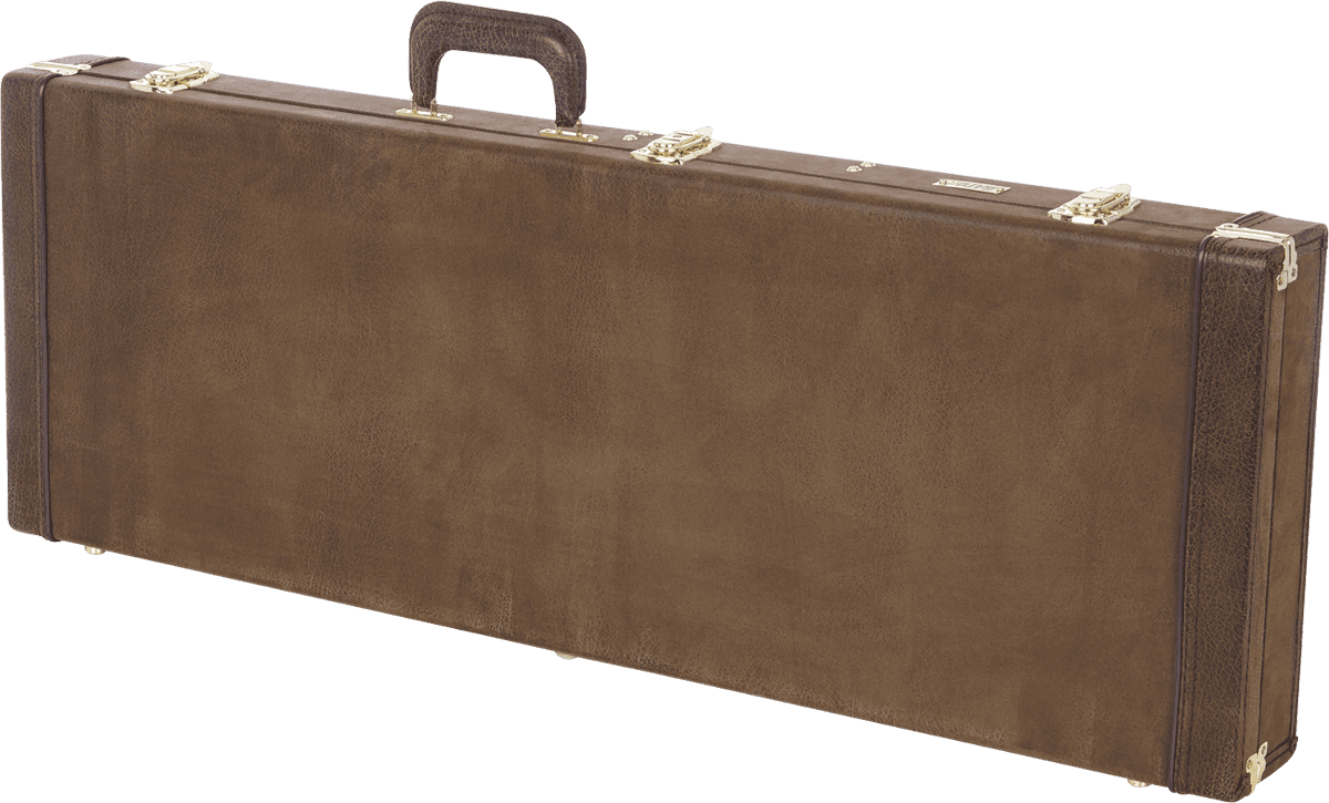 Gator Taschen und Koffer für Gitarren