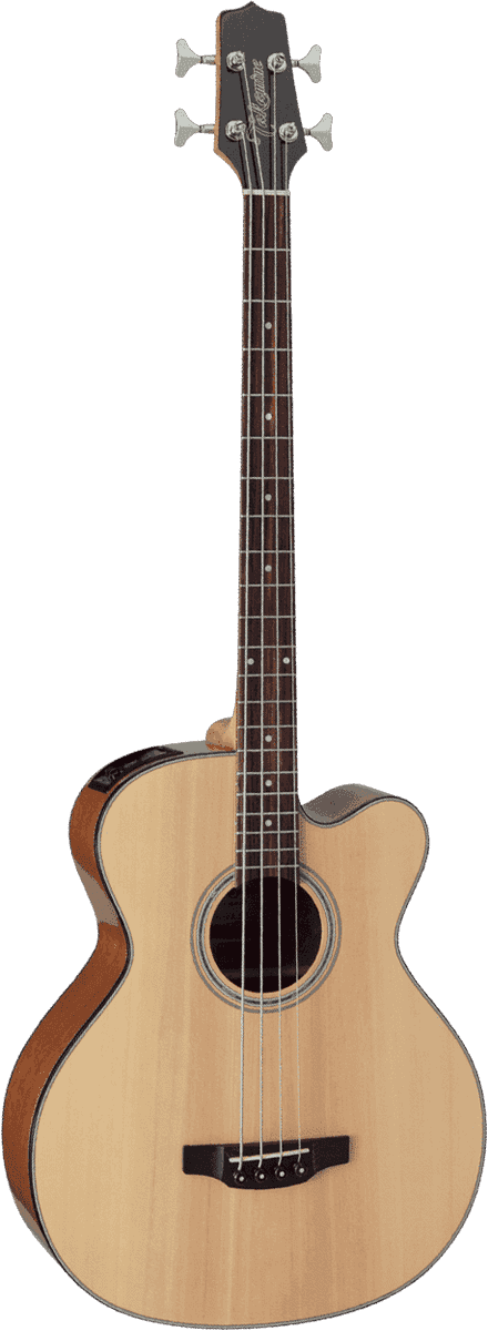 Takamine Bässe