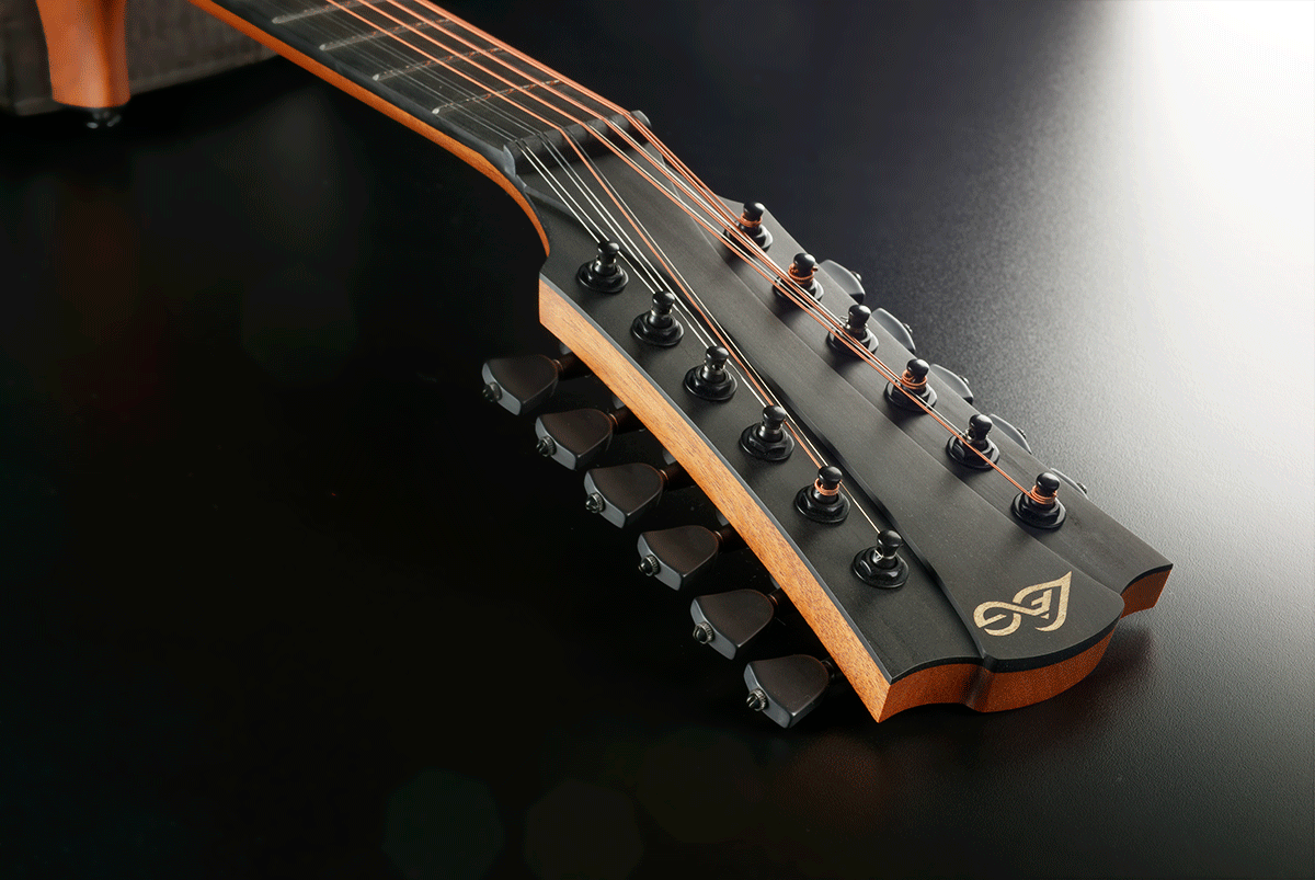 Sauvage Jumbo 12 Strings Ctw