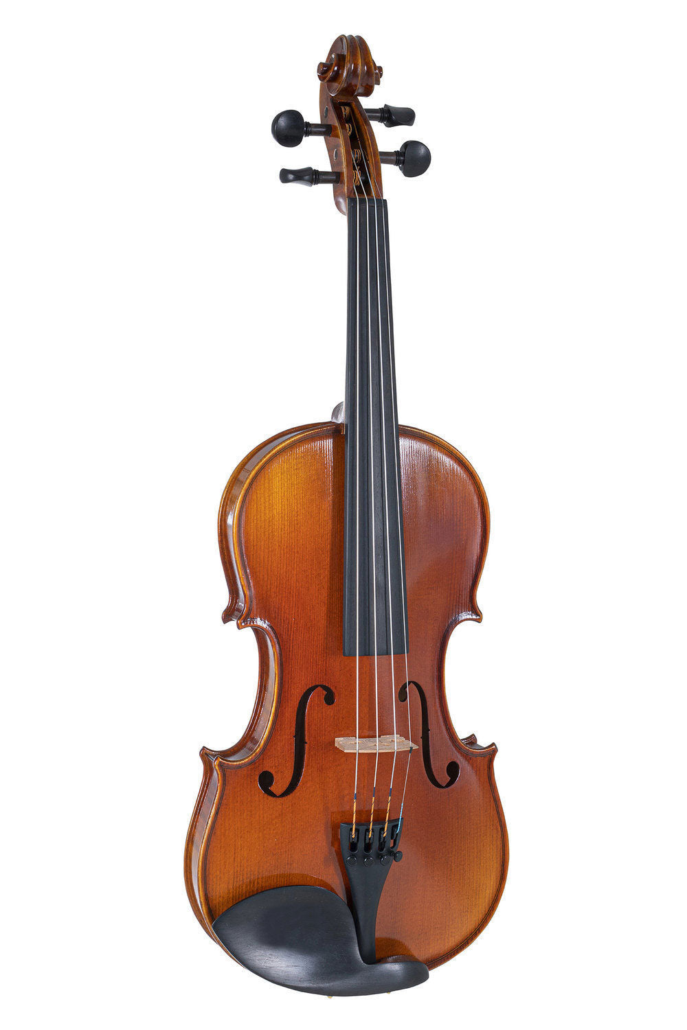 4/4 VIOLIN PREPARED FOR PLAYING PROFILED CASE MASSARANDUBA BOW LARSEN IL CANNONE STRINGS