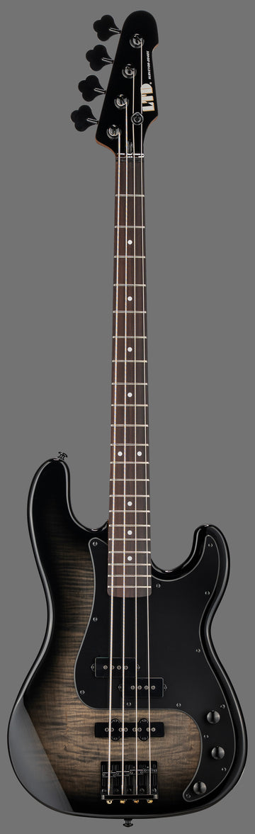 Surveyor-204DX Black Burst