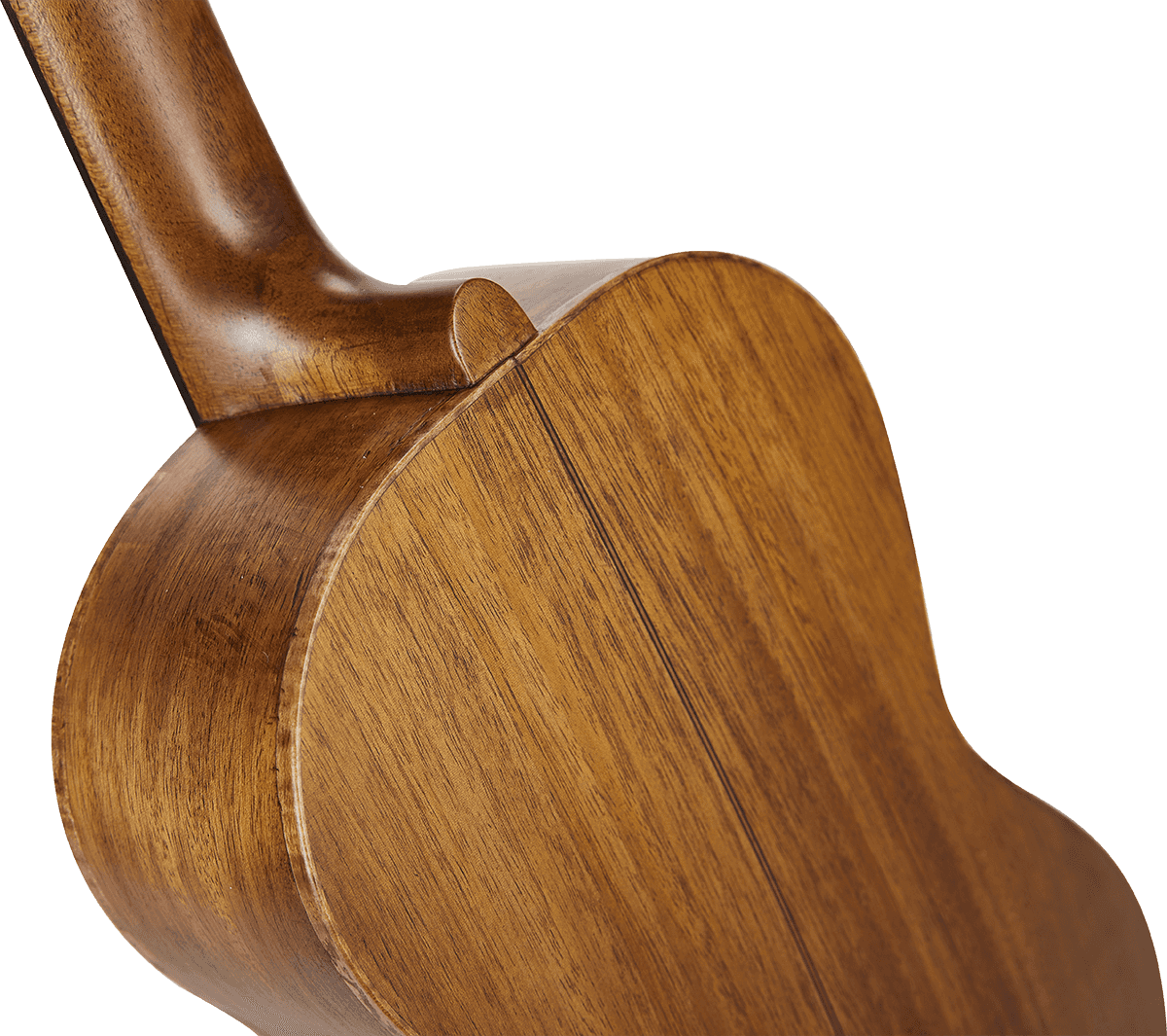 Naturbelassener Elektro-Bariton + Tasche