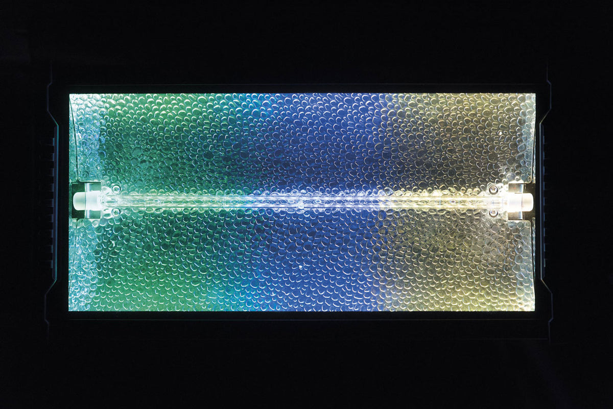 Titan Strobe Blaze