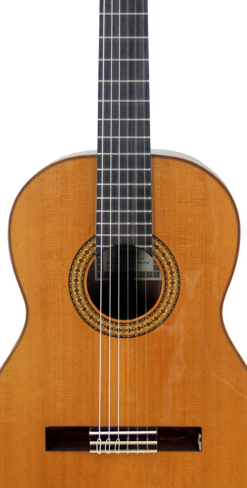 Mod.3 Glänzende Zederndecke