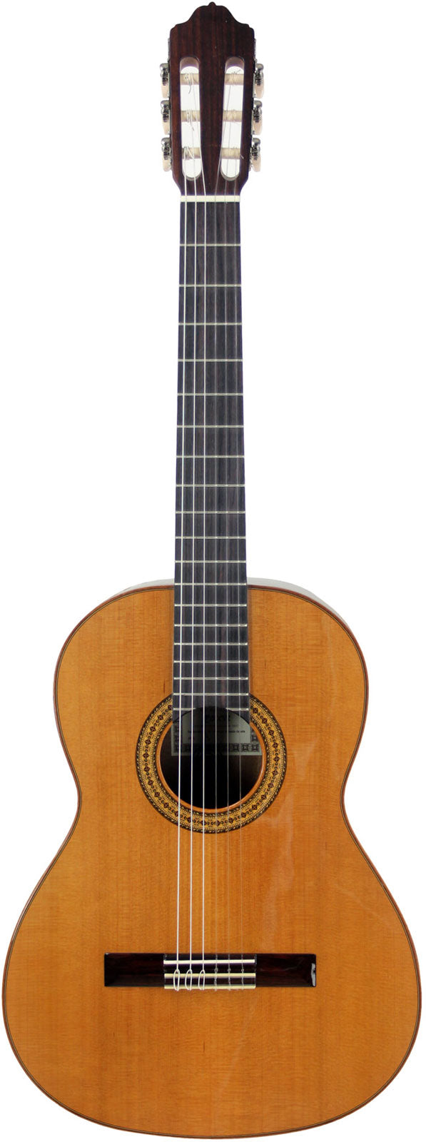 Mod.3 Glänzende Zederndecke