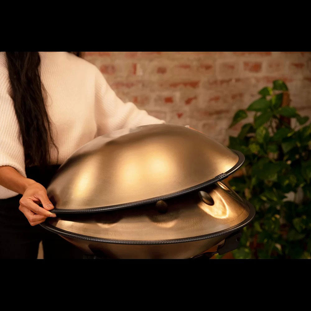 SONIC ENERGY SENSORY HANDPAN D KURD D / A BB C D E F G A C - HPSTL100