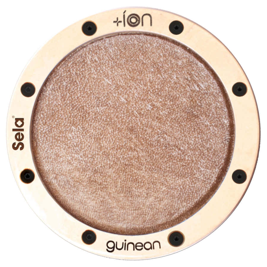 Ion for Iconic Cajon - Guineisch