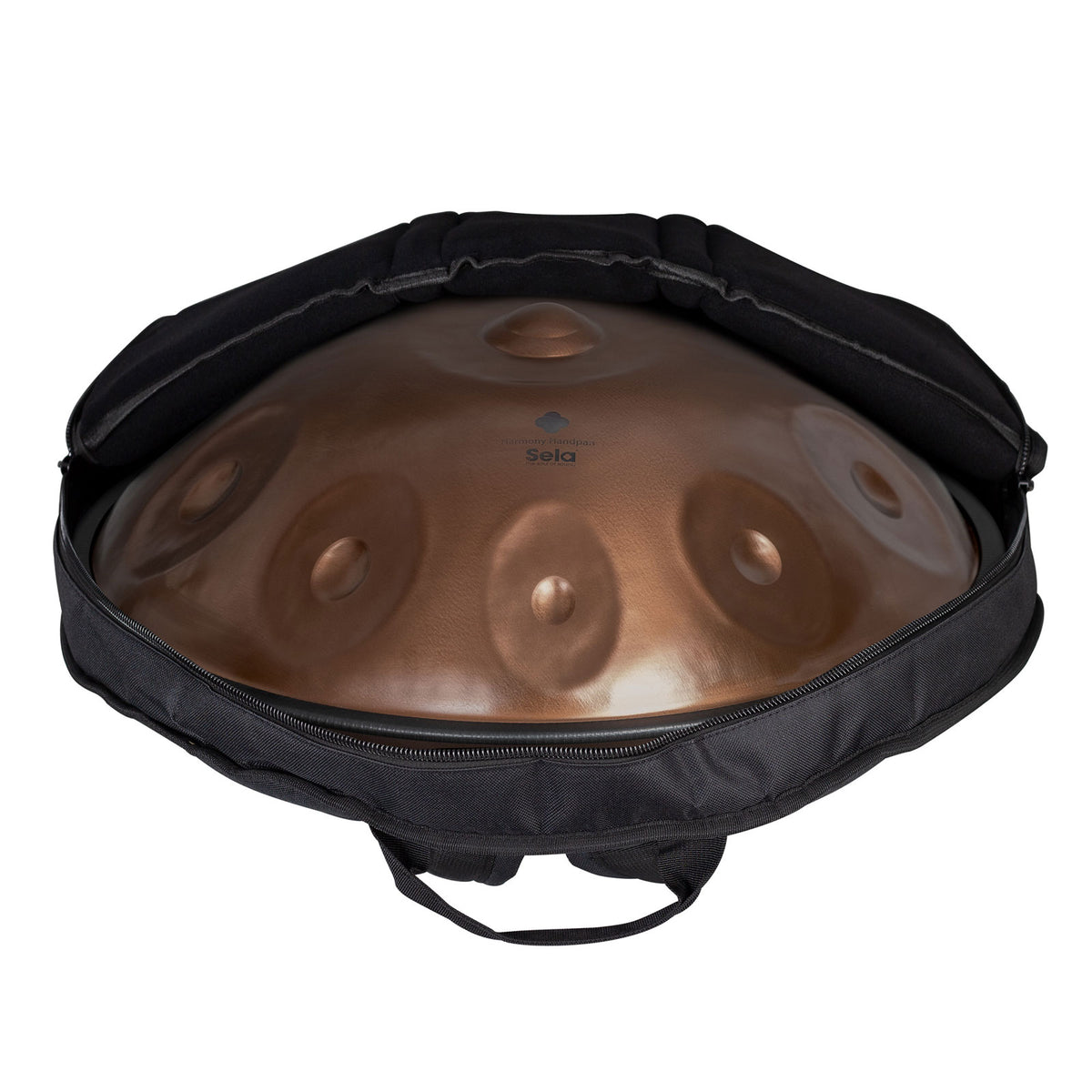 Harmony Handpan D Kurd 10 Ember Steel