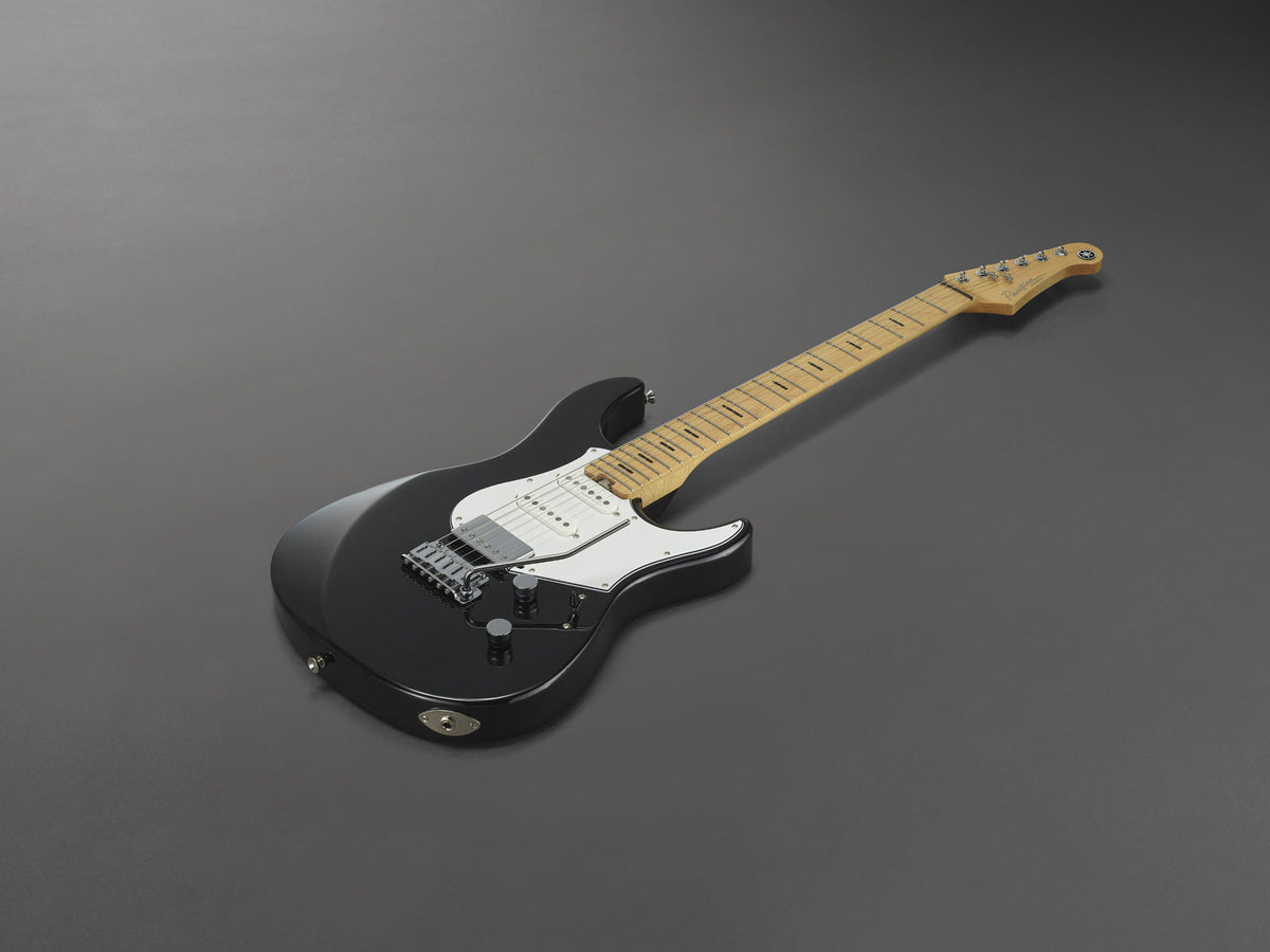 Pacifica Professional Pacp12M-Bm Mn Schwarz Metallic