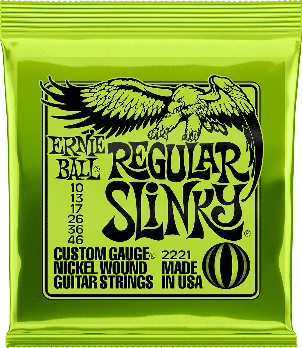 Ernie Ball Gitarrenzubehör