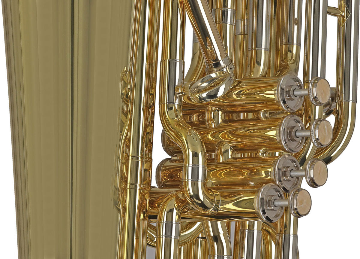 Ambition BB501B Contrebasse Sib Verni