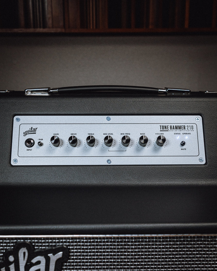 Combo TH210 300W 2x10