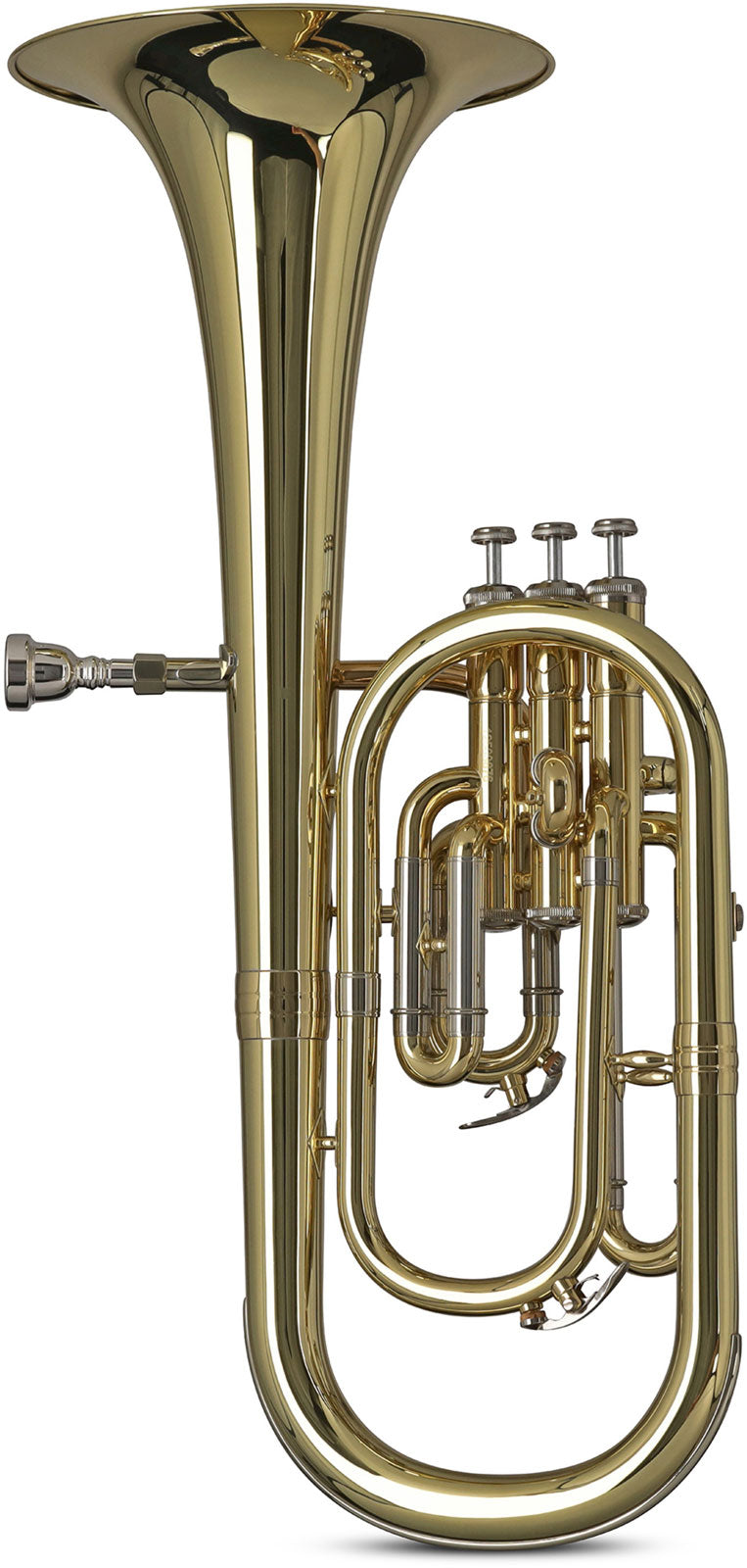 Ambition AH650 Althorn Lackiert