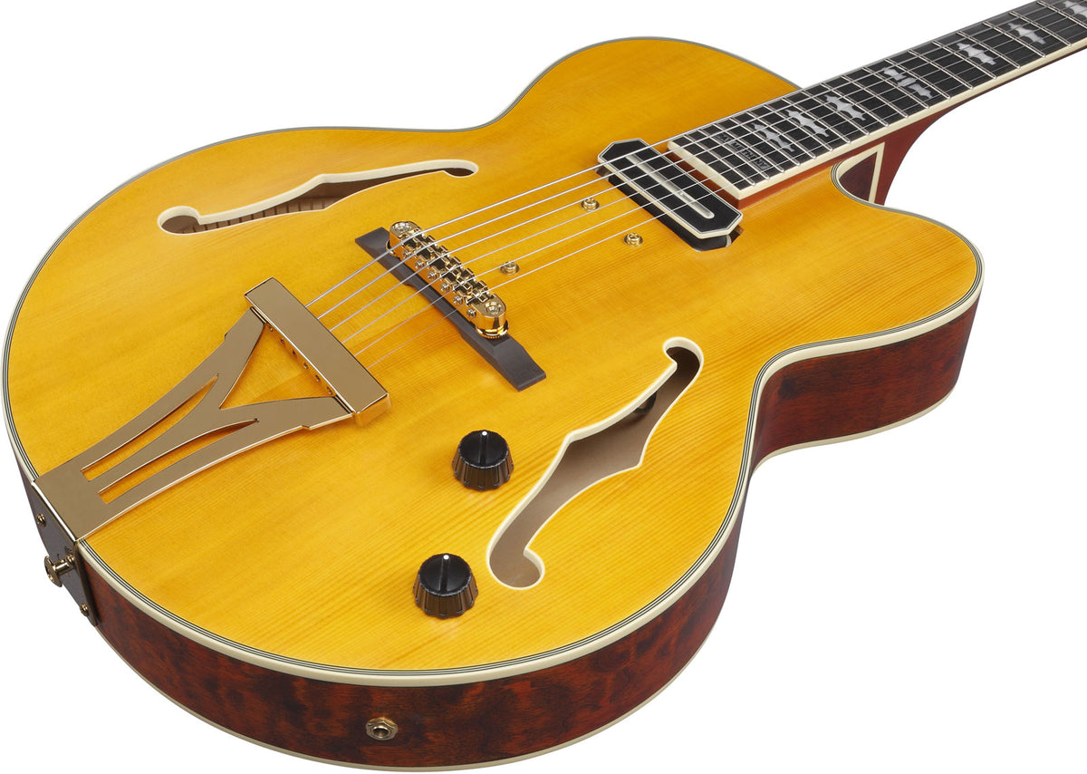 PM3C Signature Pat Metheny Natur Bernstein Niedriger Glanz