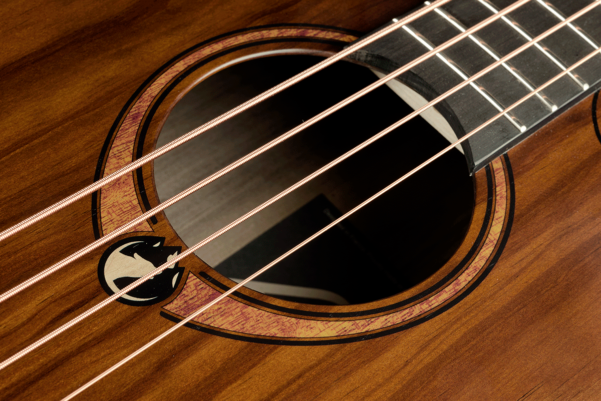 Sauvage Elektroakustischer Bass Ctw