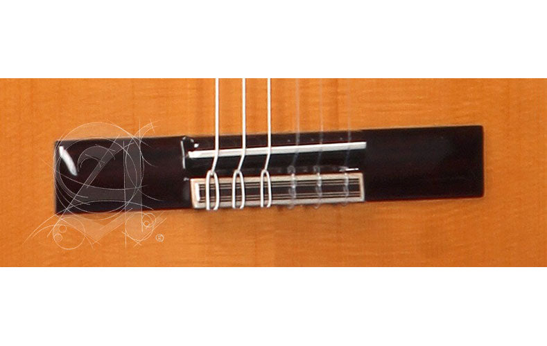 Student 3F Ct E1 Flamenco + 9738 25mm Gigbag