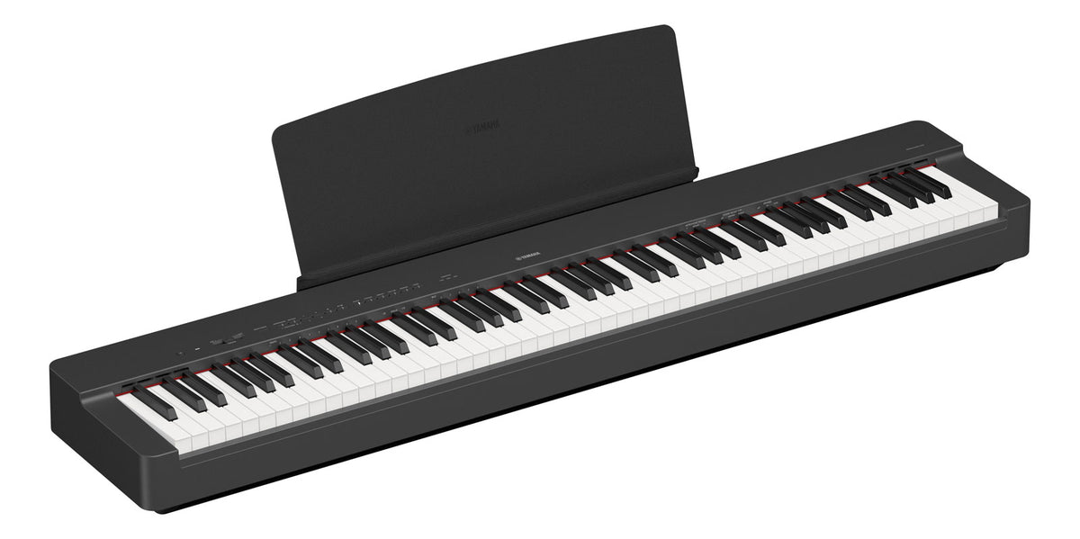 P-225 schwarz