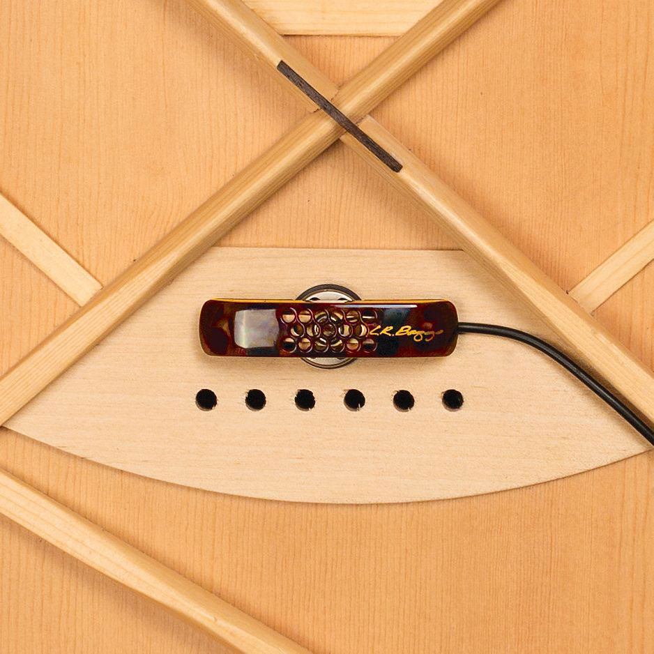 LYRIC WITH PREAMP AND VOLUME