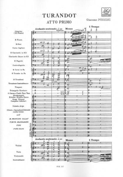 PUCCINI G. - TURANDOT - CONDUCTEUR