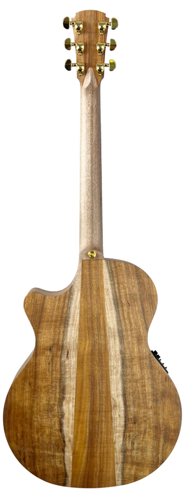 Tl2Ec-Blbl-Hh Case