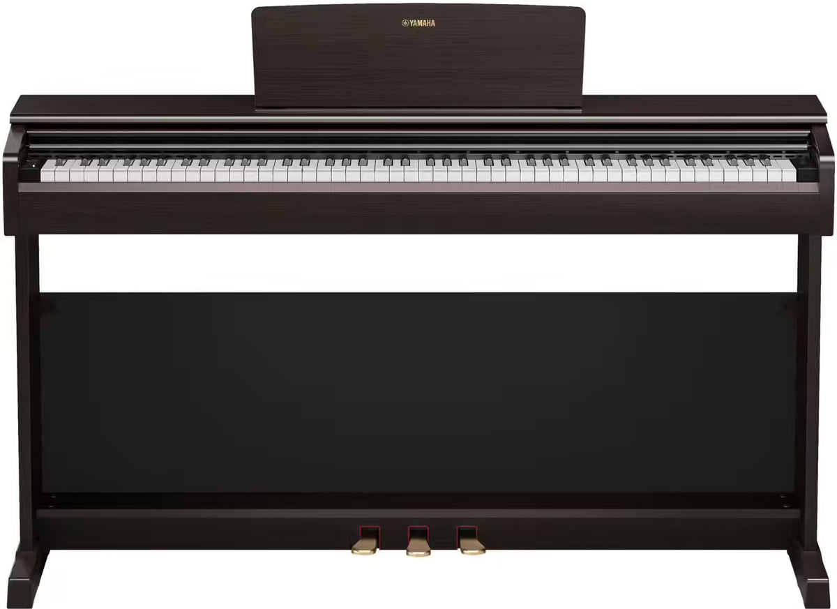 YDP-146 Rosewood