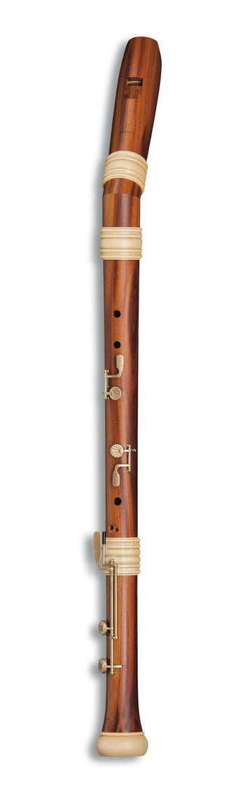 Traum-Edition Gekrümmter Bass TE-4528k - Pflaume (Barockgriff)